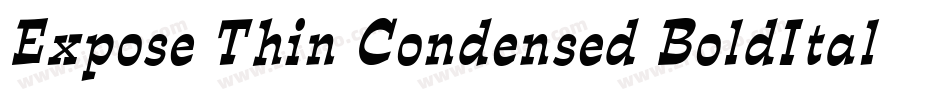 Expose Thin Condensed BoldItalic字体转换